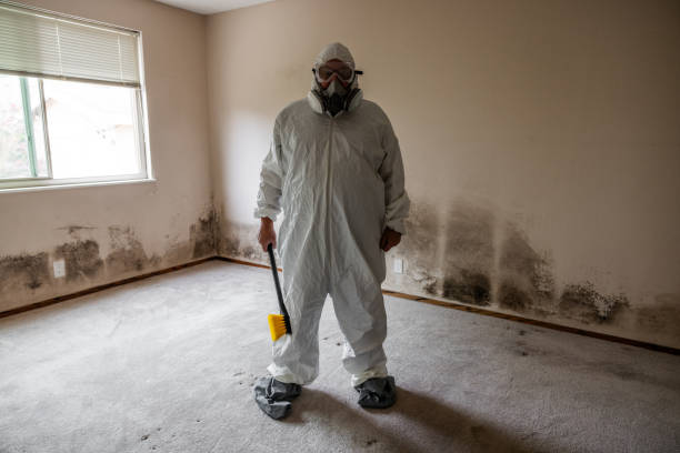 Best Mold Damage Repair  in Edmond, OK