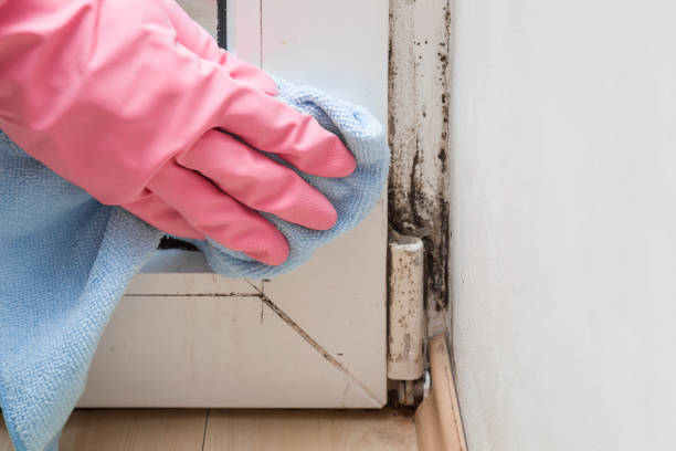 Crawl Space Mold Removal in Edmond, OK